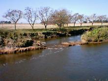 1º Caminata por el arroyo Saladillo