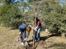 Celebracion por el Día del Medio Ambiente