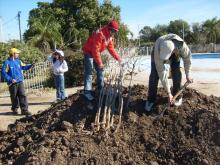 Celebracion por el Día del Medio Ambiente