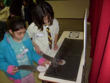 UNA NOCHE EN EL MUSEO. Casi de Película. Dormimos en el Museo Provincial de Ciencias Naturales Ángel Gallardo