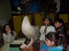 UNA NOCHE EN EL MUSEO. Casi de Película. Dormimos en el Museo Provincial de Ciencias Naturales Ángel Gallardo