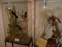 UNA NOCHE EN EL MUSEO. Casi de Película. Dormimos en el Museo Provincial de Ciencias Naturales Ángel Gallardo