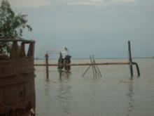 Guardianes del Paraná. 