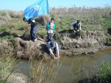 Caminata Arroyo Ludueña 2011